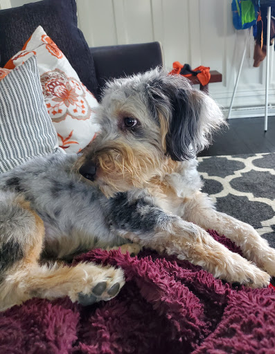 Pet Supply Store «Petco Animal Supplies», reviews and photos, 200 McMahan Blvd, Marion, OH 43302, USA