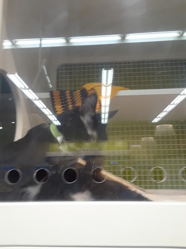 Pet Supply Store «Petco Animal Supplies», reviews and photos, 1320 E Lincoln Way p101, Sparks, NV 89434, USA