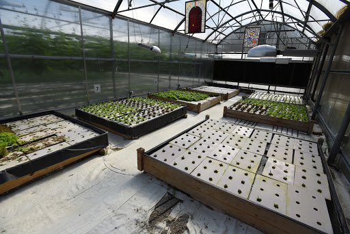 Grocery Store «Water Fresh Farm Marketplace», reviews and photos, 151 Hayden Rowe St, Hopkinton, MA 01748, USA