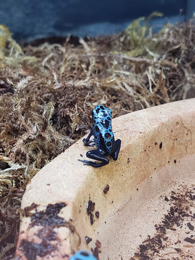 Pet Supply Store «Petco Animal Supplies», reviews and photos, 19767 Haynes Road, Catoosa, OK 74421, USA