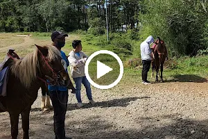 Horse back riding at Camp John Hay image