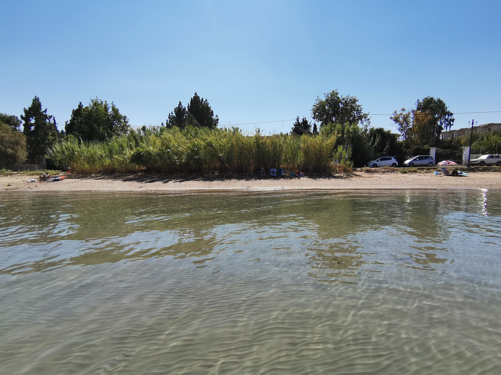 Foto af Kalamia Arkitsa beach vildt område