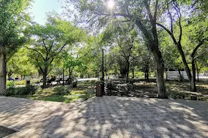 Zelenyy Park image