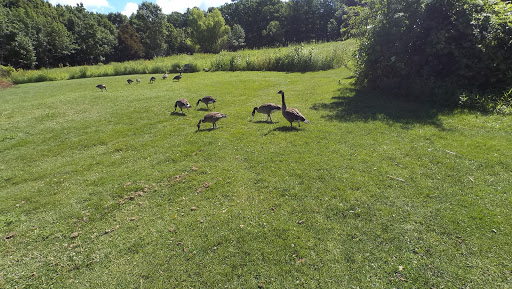 Non-Profit Organization «Aldo Leopold Nature Center», reviews and photos, 330 Femrite Dr, Madison, WI 53716, USA