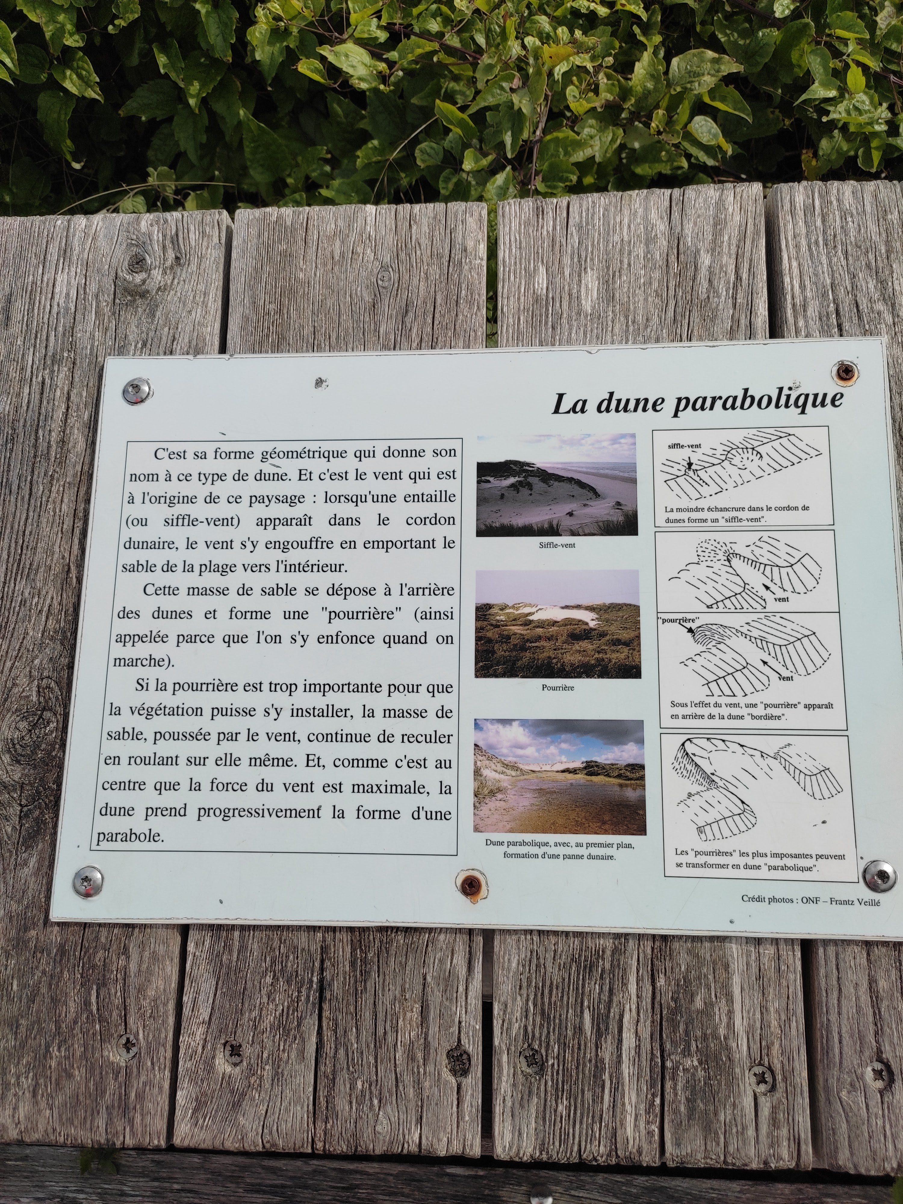 Photo n° 1 de l'avis de allo.e fait le 27/07/2022 à 15:10