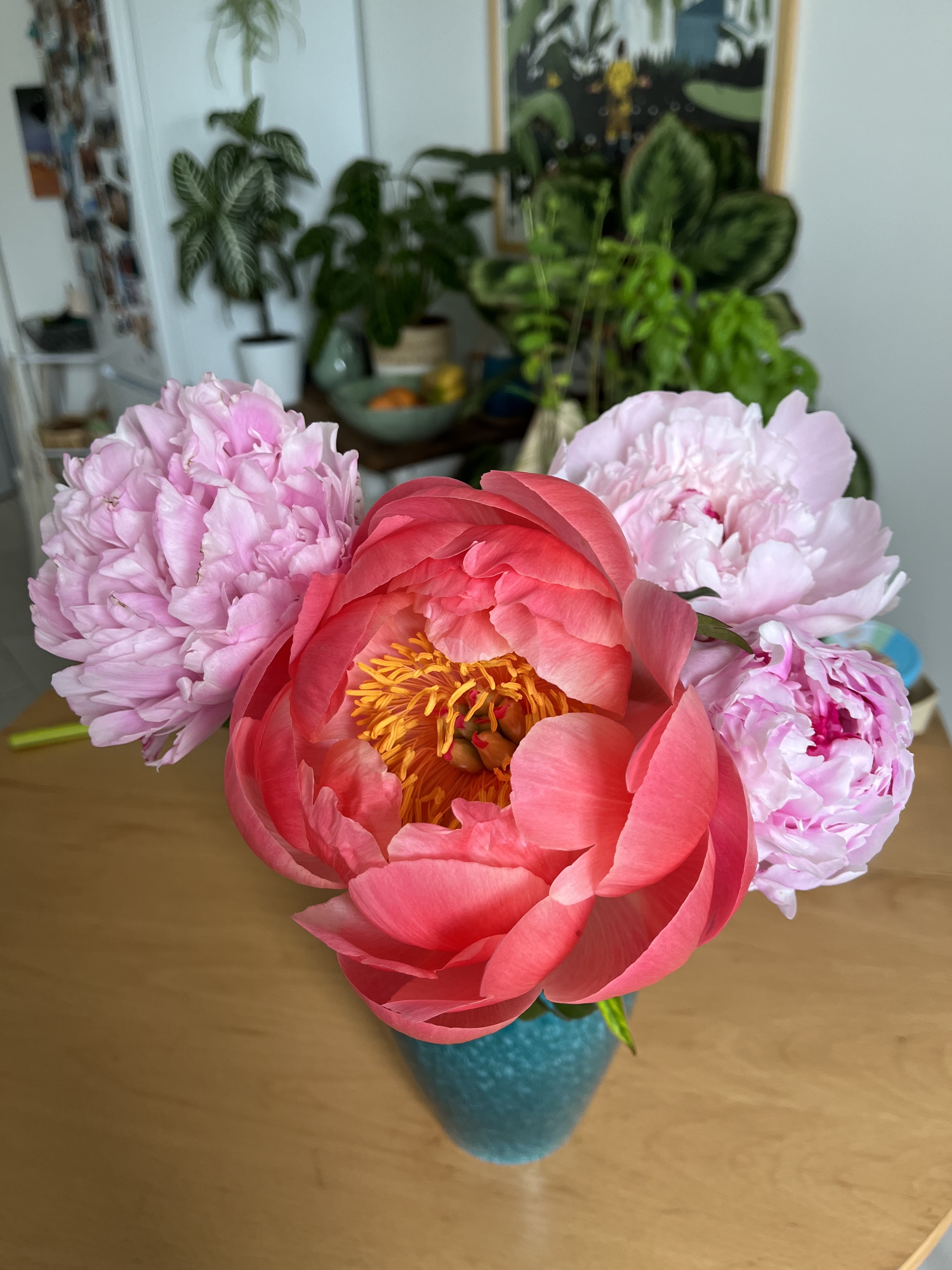 Photo n° 2 de l'avis de Méline.a fait le 24/08/2023 à 19:22
