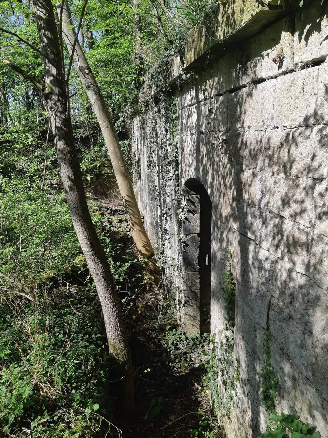 Photo n° 5 de l'avis de Aurelien.a fait le 27/04/2022 à 17:46