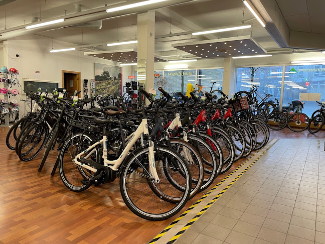 Anmeldelser af Cykelbutikken.eu i Aalborg - Cykelbutik