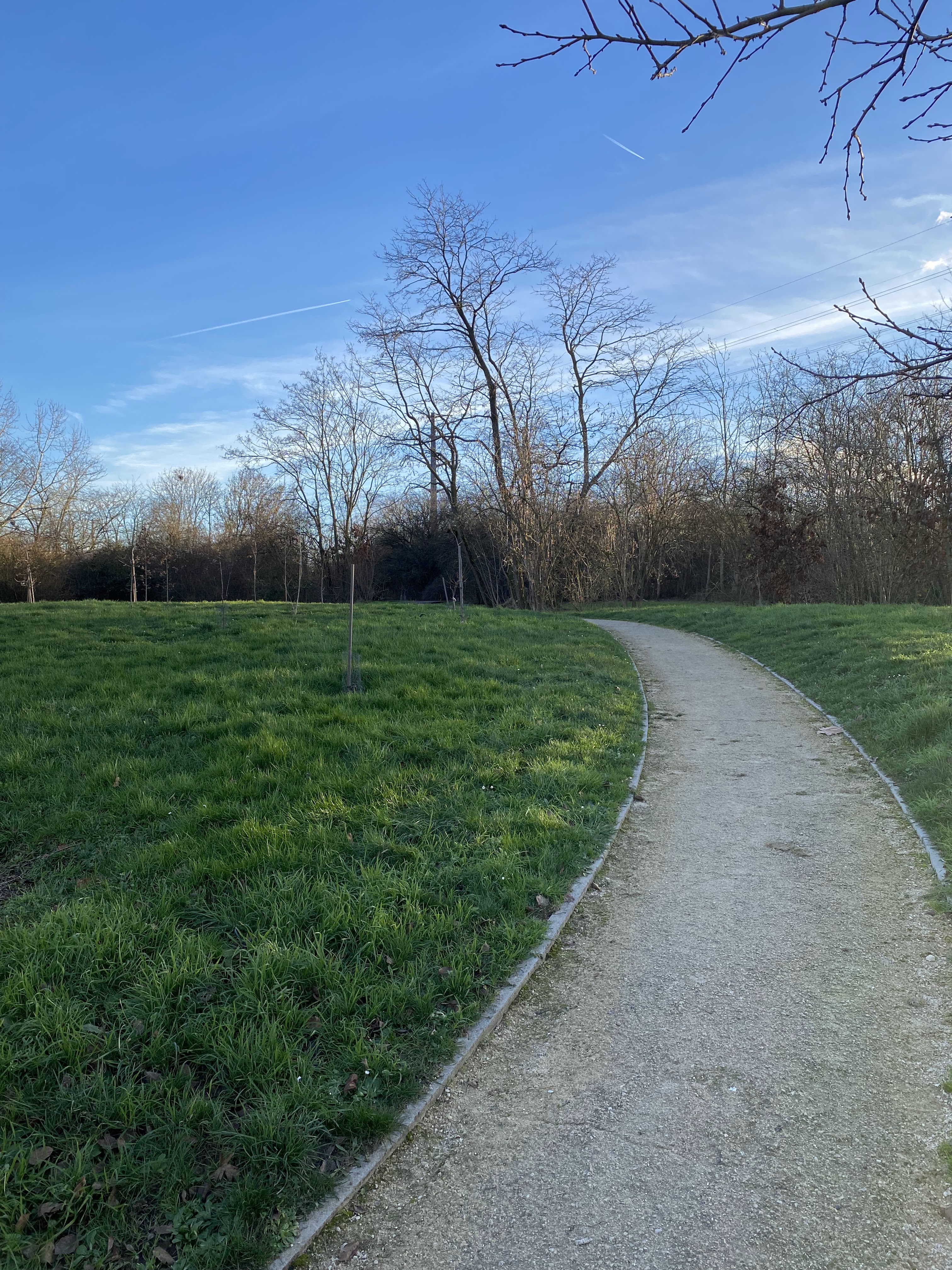 Photo n° 14 de l'avis de jérémie-louis.D fait le 16/01/2024 à 00:35