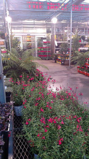 Home Improvement Store «The Home Depot», reviews and photos, 111 Shoreline Pkwy, San Rafael, CA 94901, USA