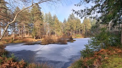 Parc accrobranche Accro-Sioule - Allier à Échassières