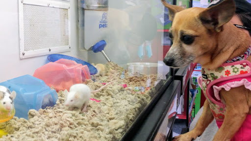 Pet Supply Store «Petco Animal Supplies», reviews and photos, 2722 N Josey Ln #107, Carrollton, TX 75007, USA