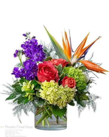 Florist «Phoebe Floral Shop», reviews and photos, 2102 Hamilton St, Allentown, PA 18104, USA