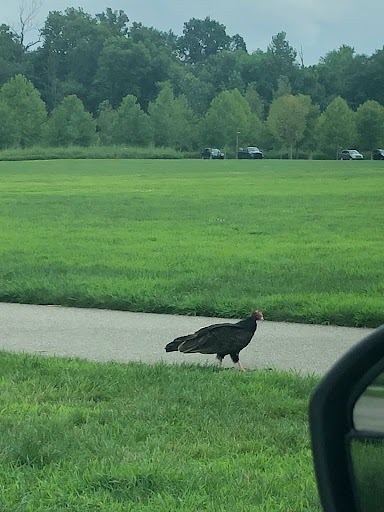 Park «Beckley Creek Park», reviews and photos, 1411 Beckley Creek Pkwy, Louisville, KY 40245, USA