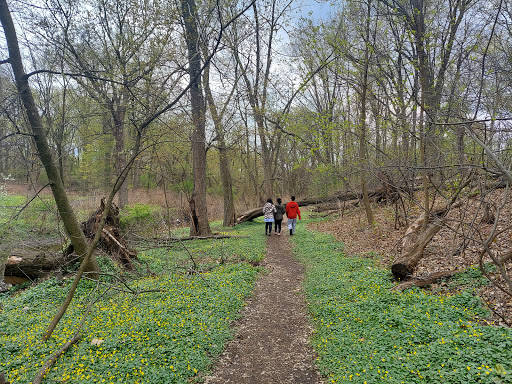 Park «Conant Park», reviews and photos, 310 Conant St, Hillside, NJ 07205, USA