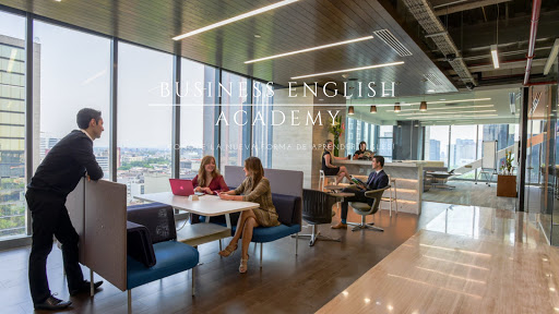 Business English Academy