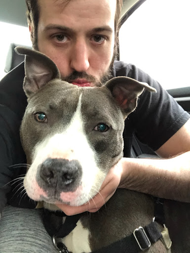 Pet Supply Store «PetSmart», reviews and photos, 10400 Southern Maryland Blvd, Dunkirk, MD 20754, USA