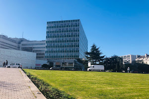 Nantes Université - UFR Médecine et Techniques Médicales