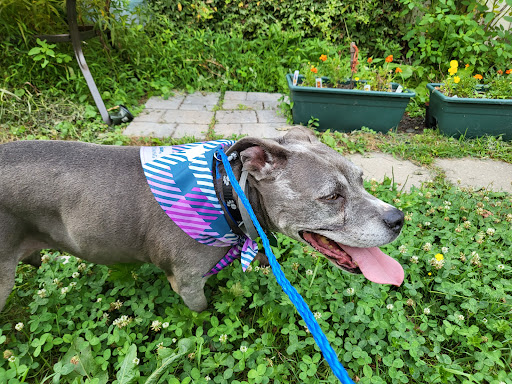 Pet Supply Store «PetSmart», reviews and photos, 475 Bank St, Waterbury, CT 06708, USA