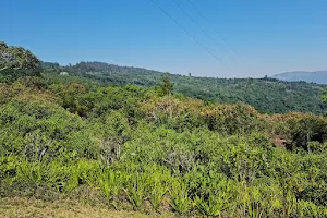 Bvumba Mountains image