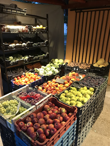 Abari Bt. - Kazincbarcika