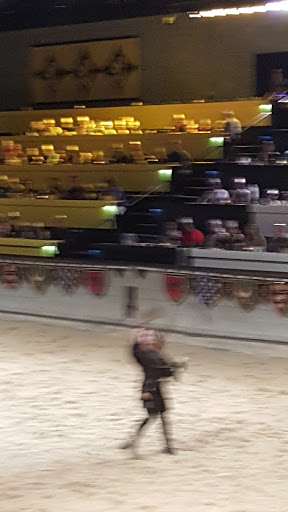 Dinner Theater «Medieval Times Dinner & Tournament», reviews and photos, 5900 Sugarloaf Pkwy #517, Lawrenceville, GA 30043, USA