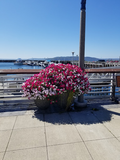 Conference Center «Des Moines Beach Park Auditorium», reviews and photos, 22030 Cliff Ave S, Des Moines, WA 98198, USA
