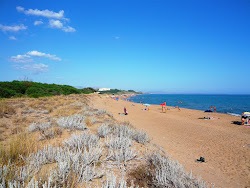 Spiaggia La Pineta'in fotoğrafı çok temiz temizlik seviyesi ile