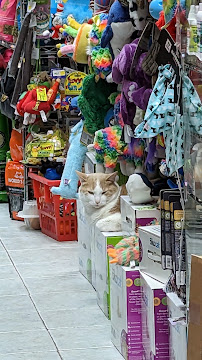 The Pet Market - Photo 4 - Car repair in New York, NY, Queens