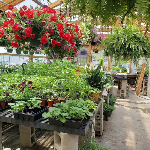 Florist «Petals & Paws», reviews and photos, 465 Albany Turnpike, Canton, CT 06019, USA