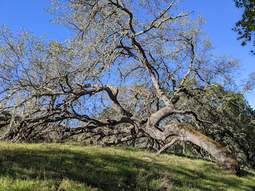 Nature Preserve «Rancho Cañada del Oro Open Space Preserve», reviews and photos, 4289 Casa Loma Rd, Morgan Hill, CA 95037, USA
