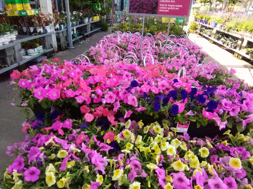 Home Improvement Store «The Home Depot», reviews and photos, 785 New York Ave, Huntington, NY 11743, USA