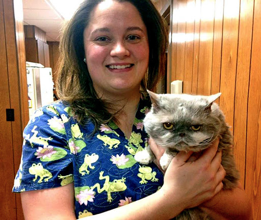 Spring Harbor Animal Hospital image