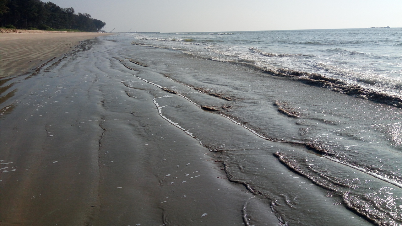 Zdjęcie Gangoli Beach dziki obszar