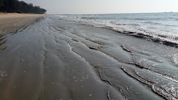 Zdjęcie Gangoli Beach dziki obszar