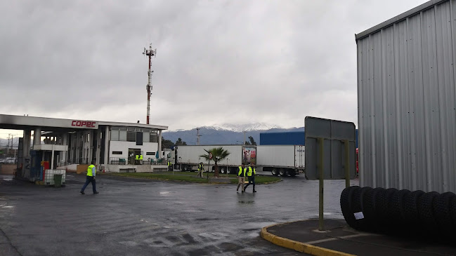 Opiniones de Nazar Cargo en San Bernardo - Servicio de mensajería