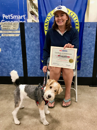 Pet Supply Store «PetSmart», reviews and photos, 2255 Pine Ridge Rd, Naples, FL 34109, USA