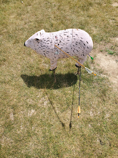 Adventure Sports «Edge Adventure Parks», reviews and photos, 11800 Koteewi Dr, Noblesville, IN 46060, USA