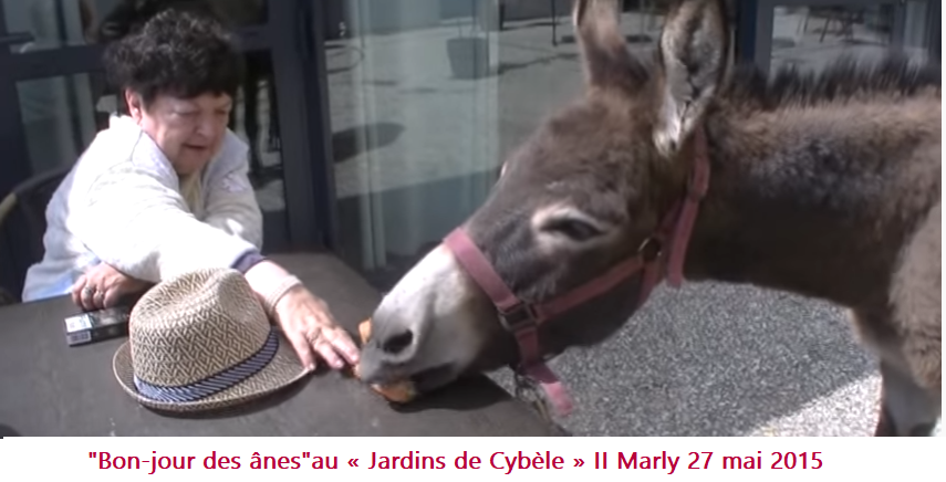 Photo n° 3 de l'avis de ocadine. fait le 18/11/2021 à 07:31