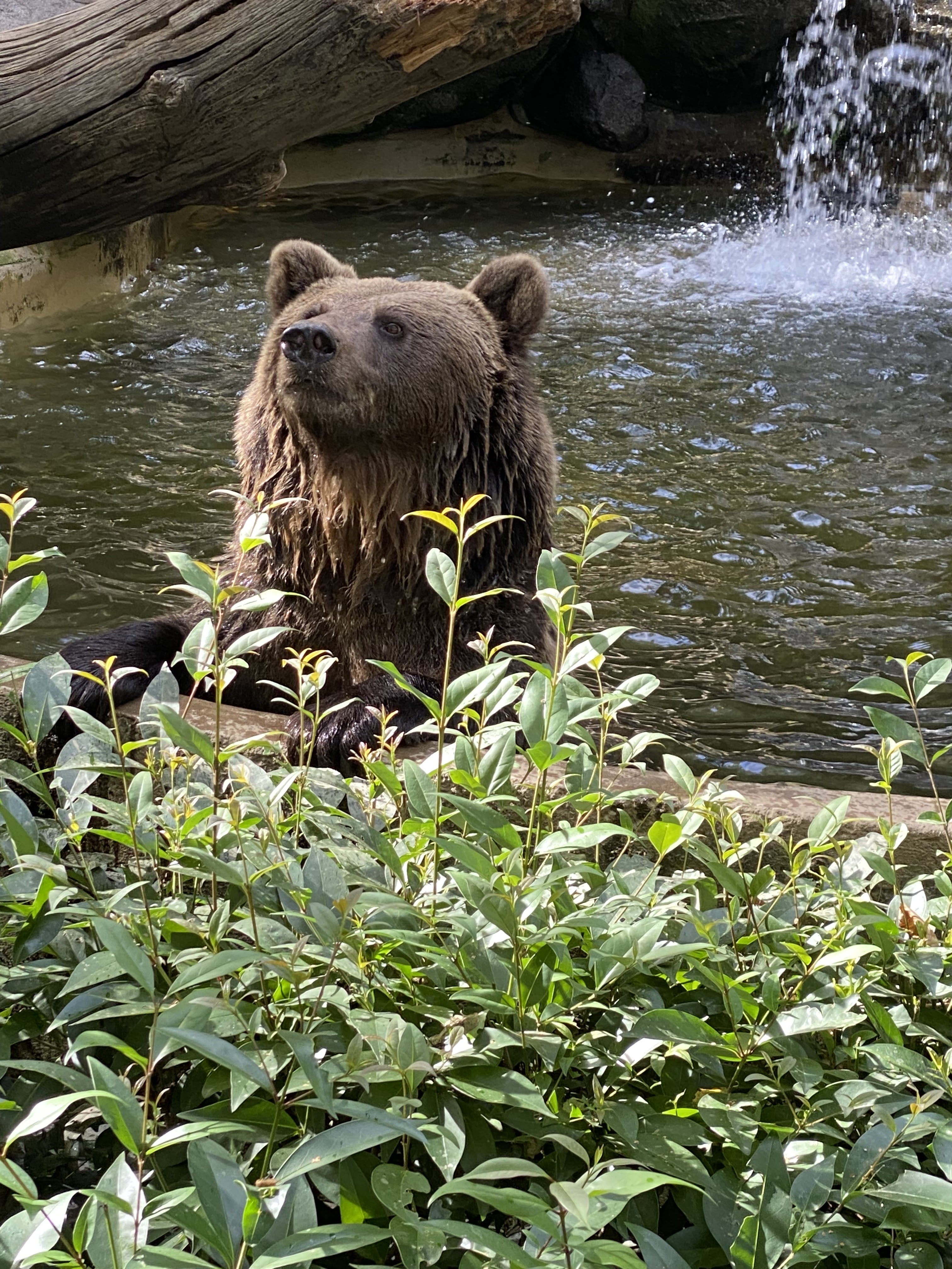 Photo n° 3 de l'avis de Julie-Audrey.e fait le 28/10/2022 à 03:13