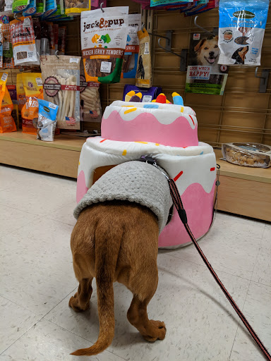 Department Store «Marshalls», reviews and photos, 65 Colma Blvd, Colma, CA 94014, USA