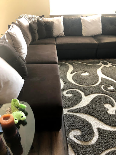 EASY CLEAN CARPET CARE image