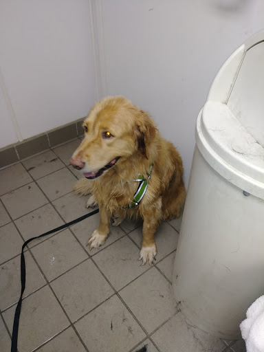 Pet Supply Store «Pet Supplies Plus», reviews and photos, 946 Joliet St, Dyer, IN 46311, USA