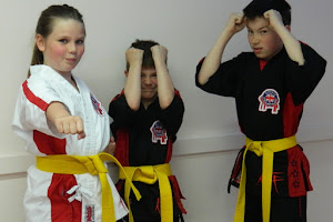 TaeKwonDo Academy