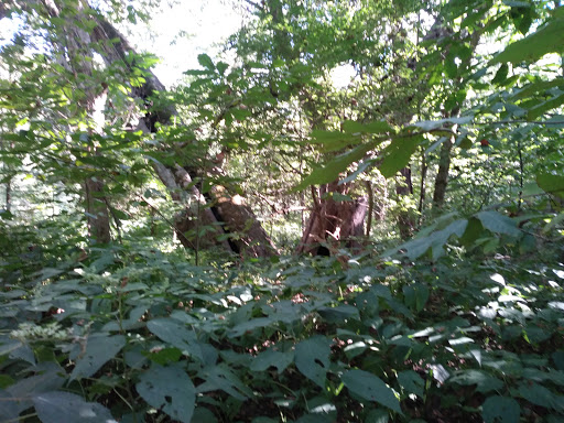 Park «Carter Park», reviews and photos, 1720 King Ave, Kings Mills, OH 45034, USA