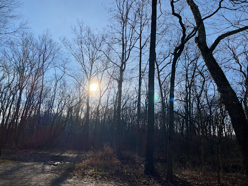 Nature Preserve «Sweet Arrow Reserve», reviews and photos, 789 Little Sugarcreek Rd, Sugarcreek Township, OH 45440, USA