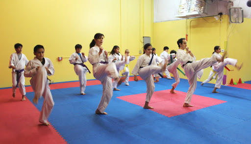 United Shotokan Karate Academy (USKA)