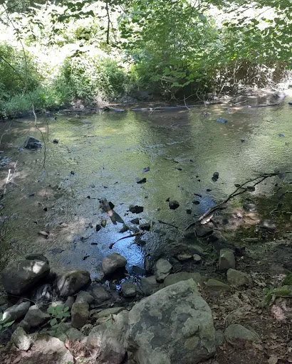 Nature Preserve «Mianus River Gorge Preserve», reviews and photos, 167 Mianus River Rd, Bedford, NY 10506, USA