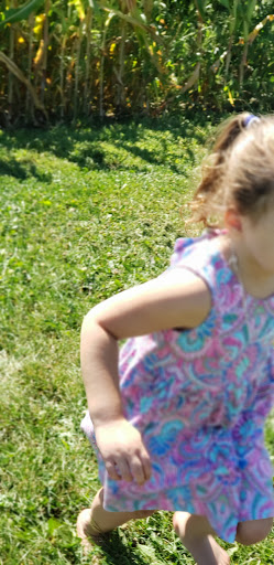 Winery «McEachran Homestead Winery», reviews and photos, 1917 Wyman School Rd, Caledonia, IL 61011, USA