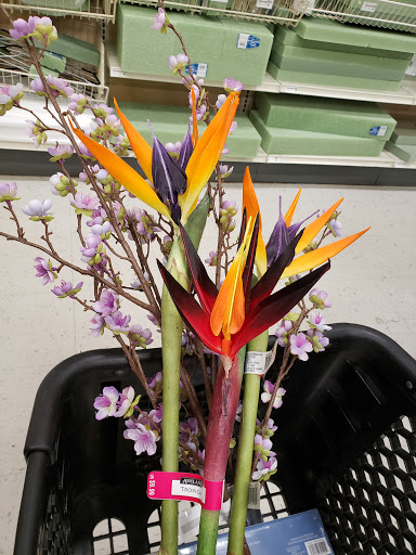 Craft Store «Michaels», reviews and photos, 6717 Spring Mall Dr, Springfield, VA 22150, USA